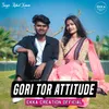 About Gori Tor Attitude Song